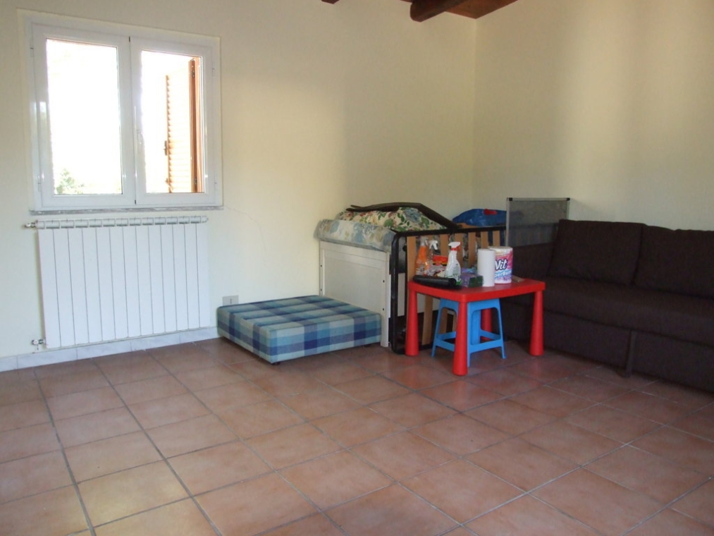 DSCF5244 (FILEminimizer).JPG